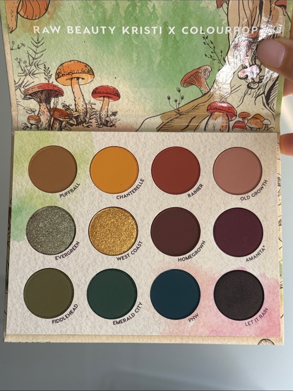 Colourpop x Raw Beauty Kristi At Forest Sight Pressed Powder Palette